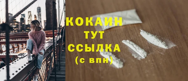 индика Хадыженск